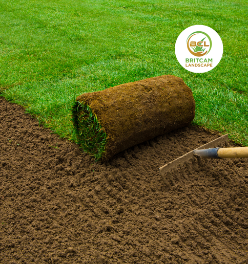 Roll of natural sod on prepared soil