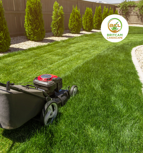 Lawn mower on a lush lawn