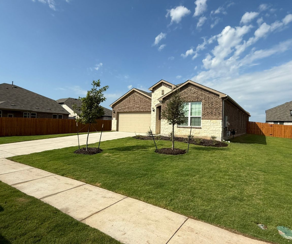 Fresh lawn and planting: Texas house, lawn, two young trees with mulch circles